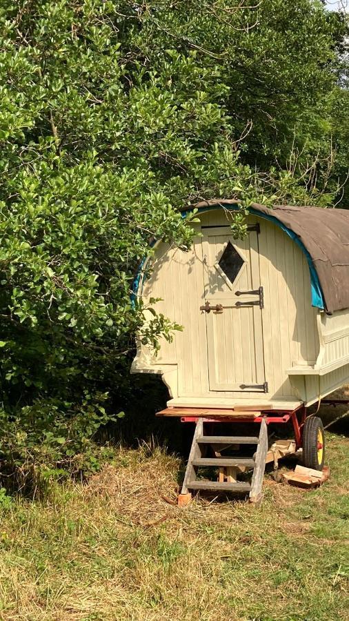 ホテル Aldridge Mill Oakford エクステリア 写真