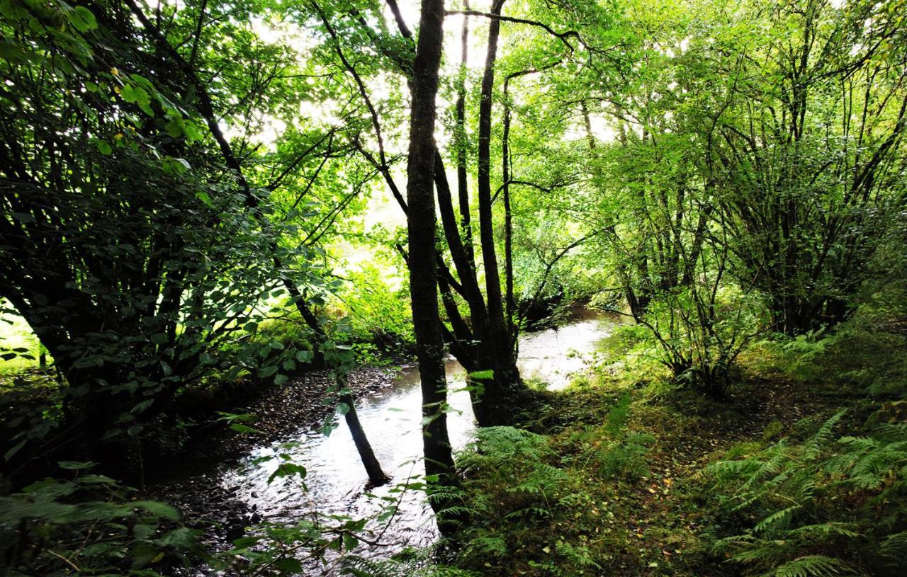 ホテル Aldridge Mill Oakford エクステリア 写真